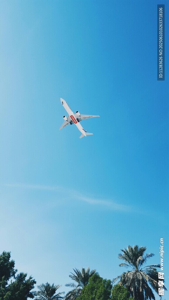 蓝天中翱翔的飞机