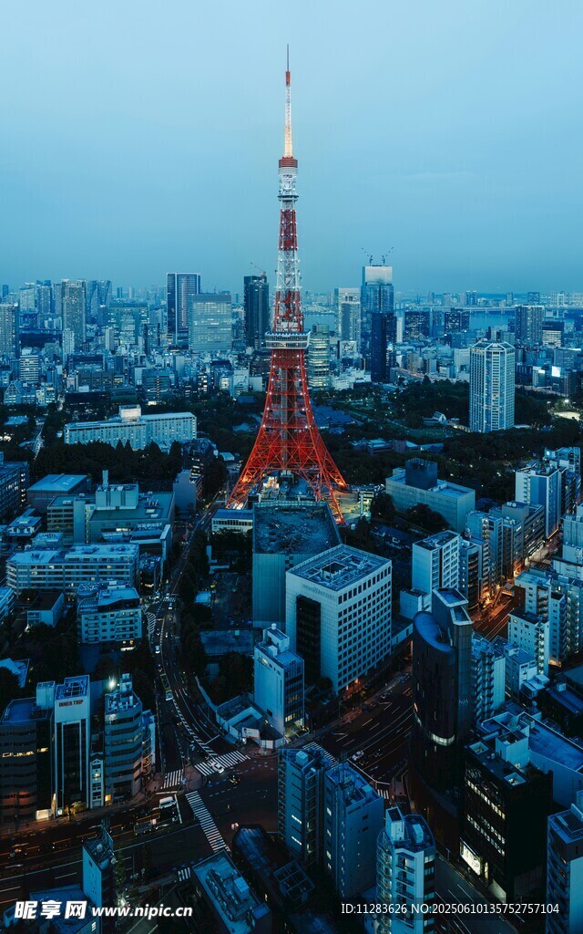 东京城市夜景中的塔