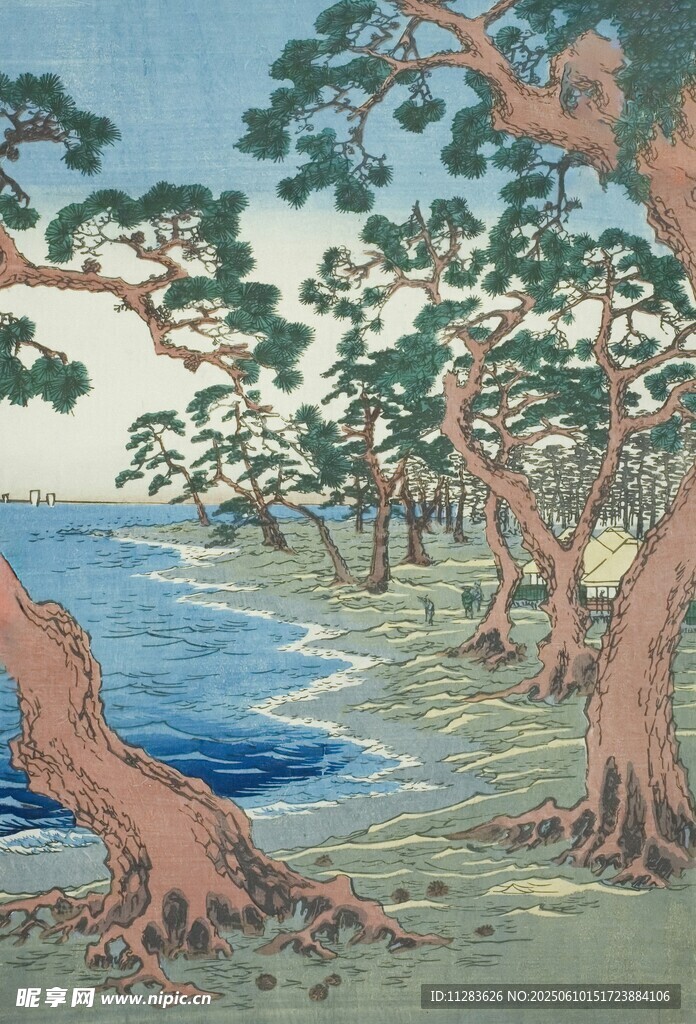 海边松树林风景图