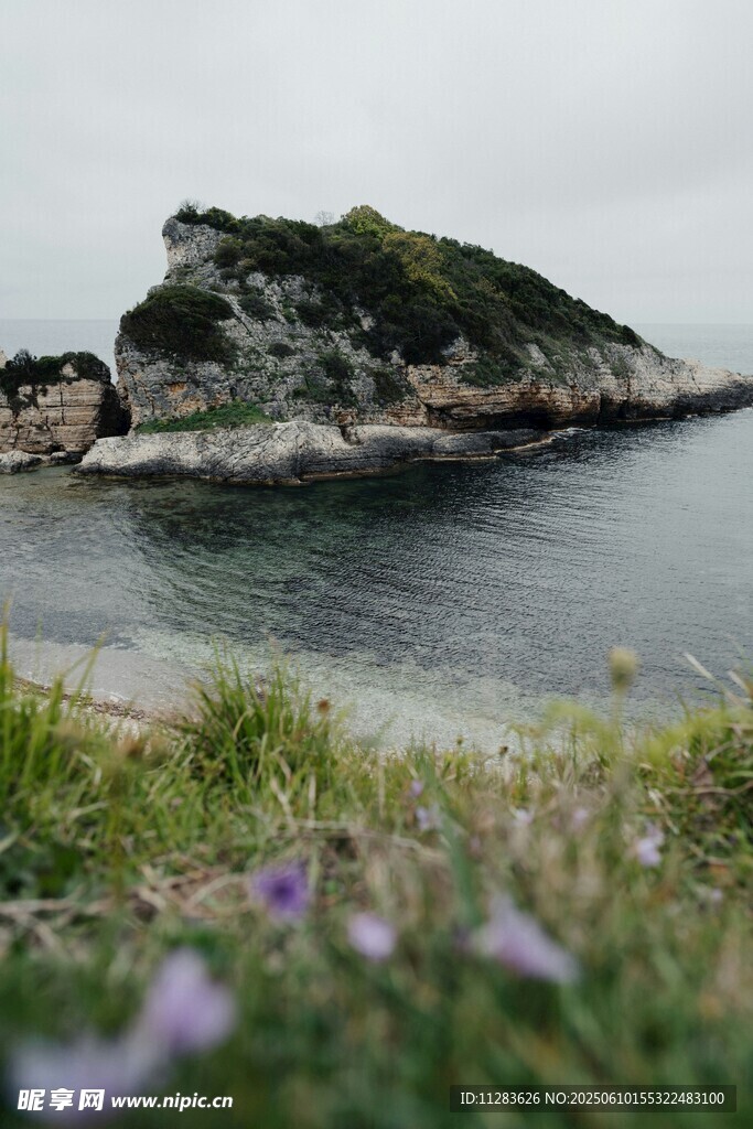 海边孤岩与烂漫小花