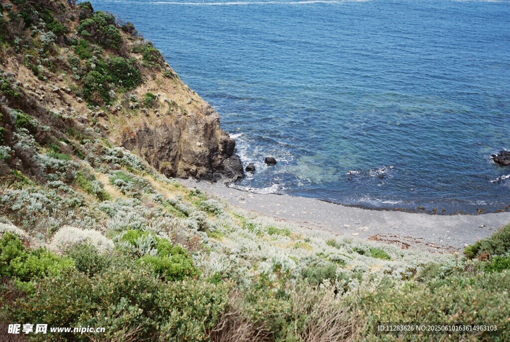 海岸边的绿植与蓝色大海