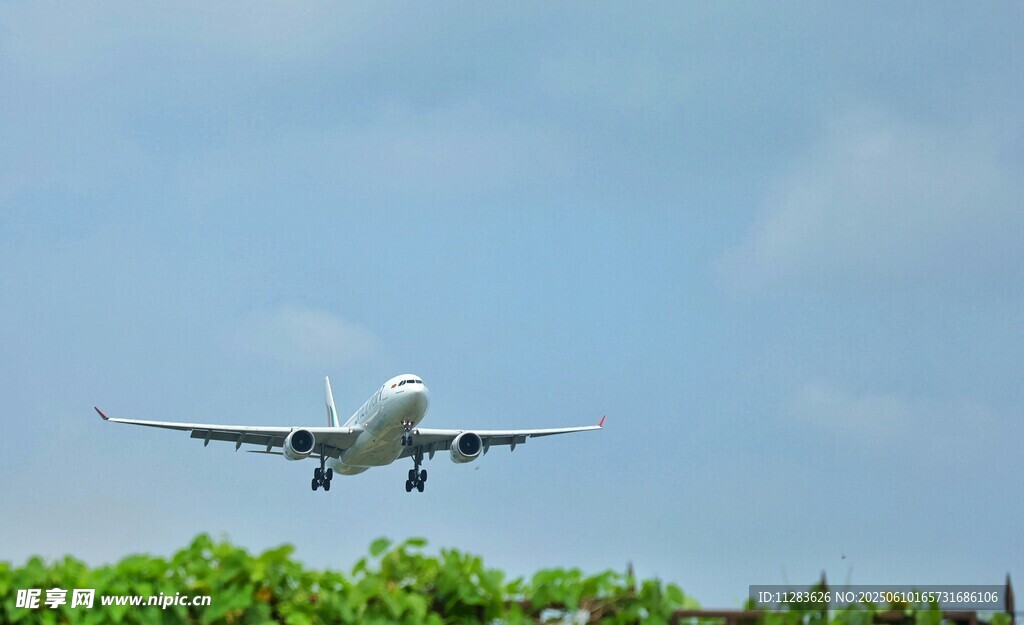 飞机低空飞过绿色植被