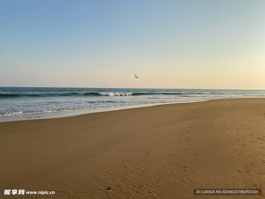 金色沙滩与海浪的美丽景致