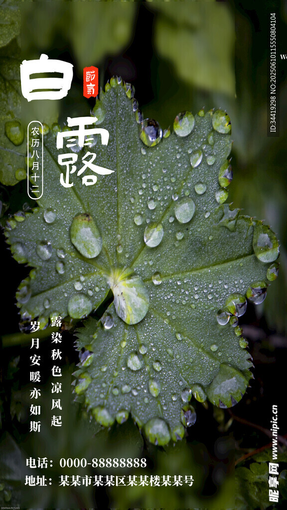 白露节气 