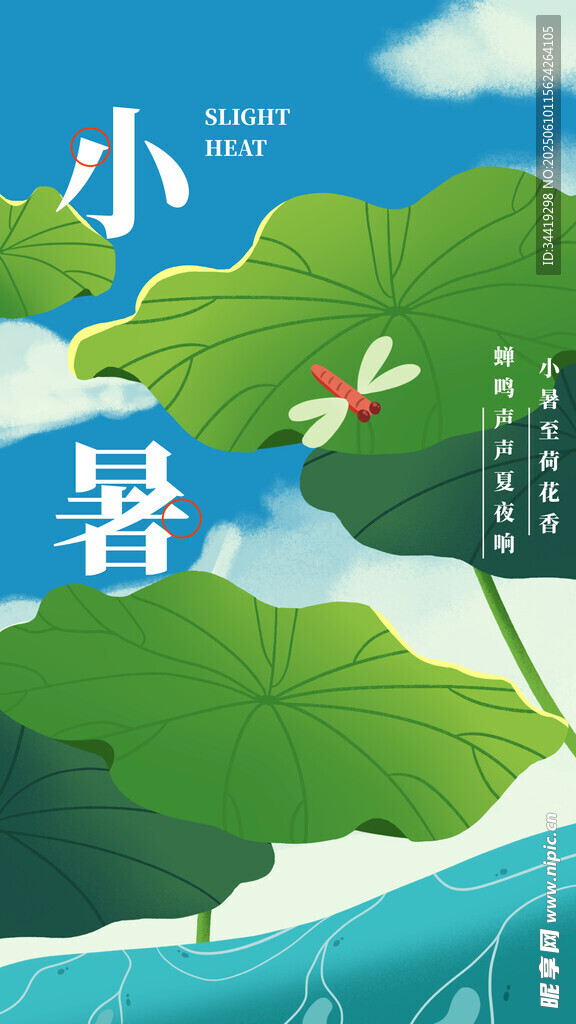 小暑时节的荷塘美景