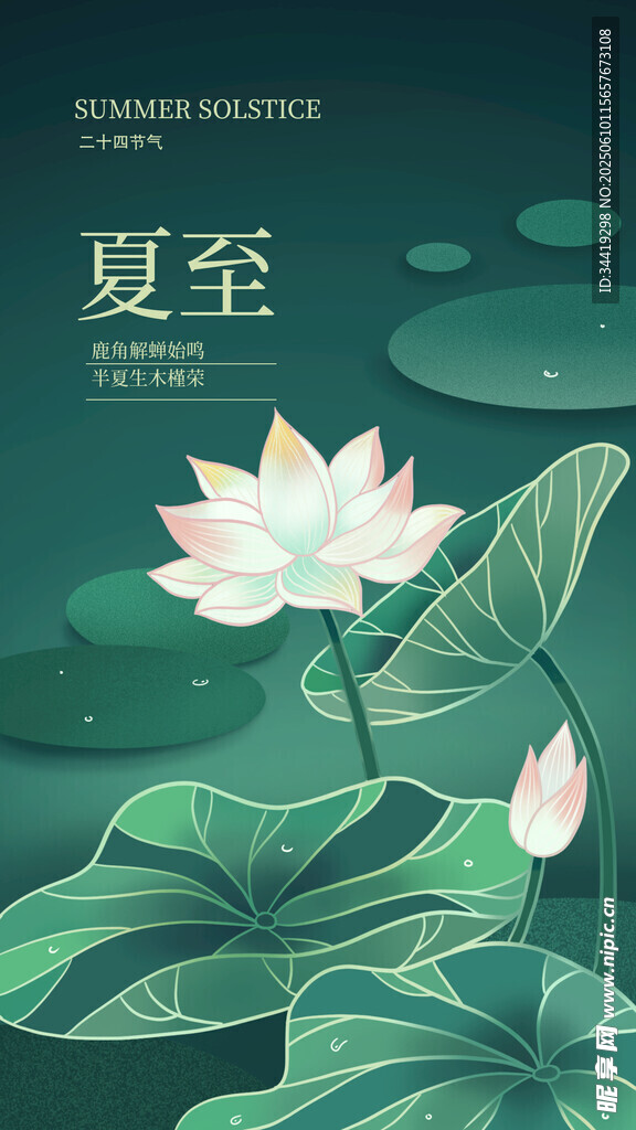 夏至荷花图