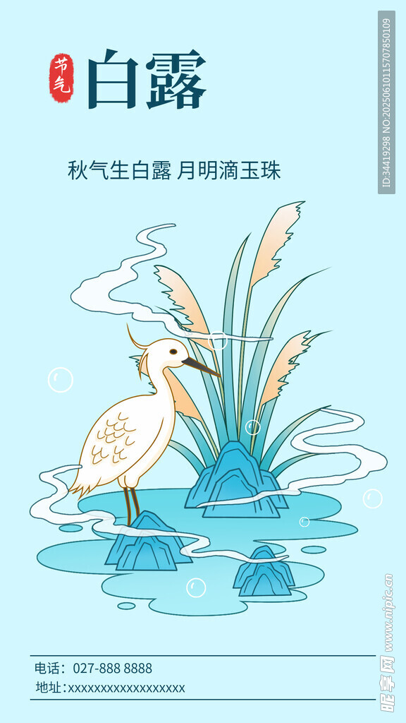 白露节气插画中的白鹭与水草