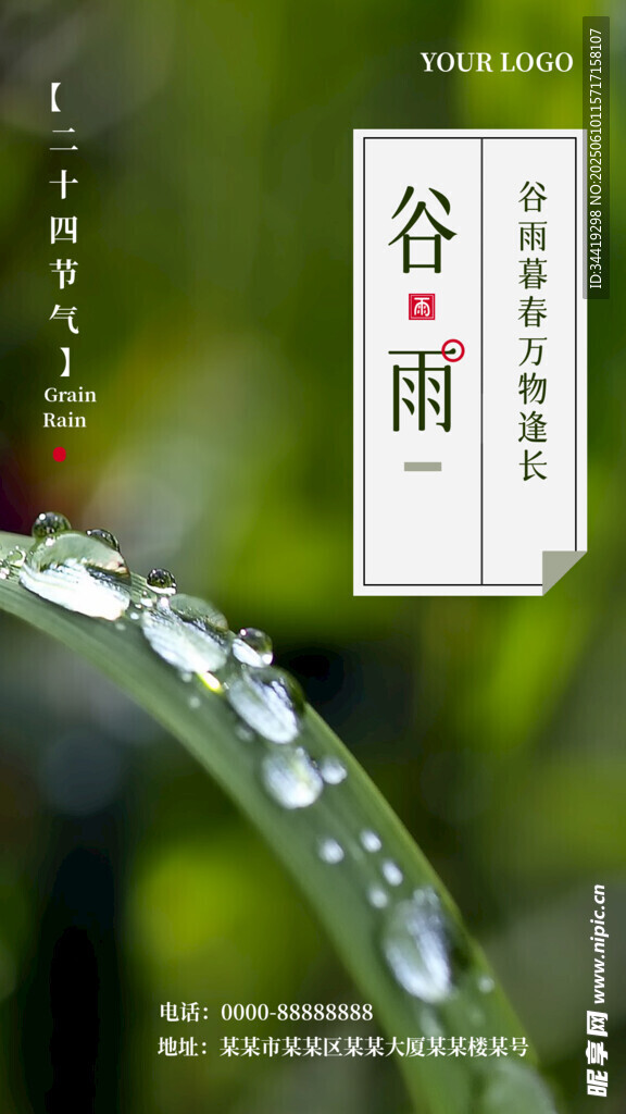 谷雨时节叶尖晶莹水珠