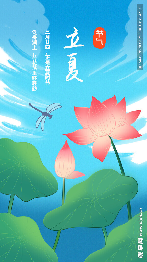 夏日荷塘立蜻蜓