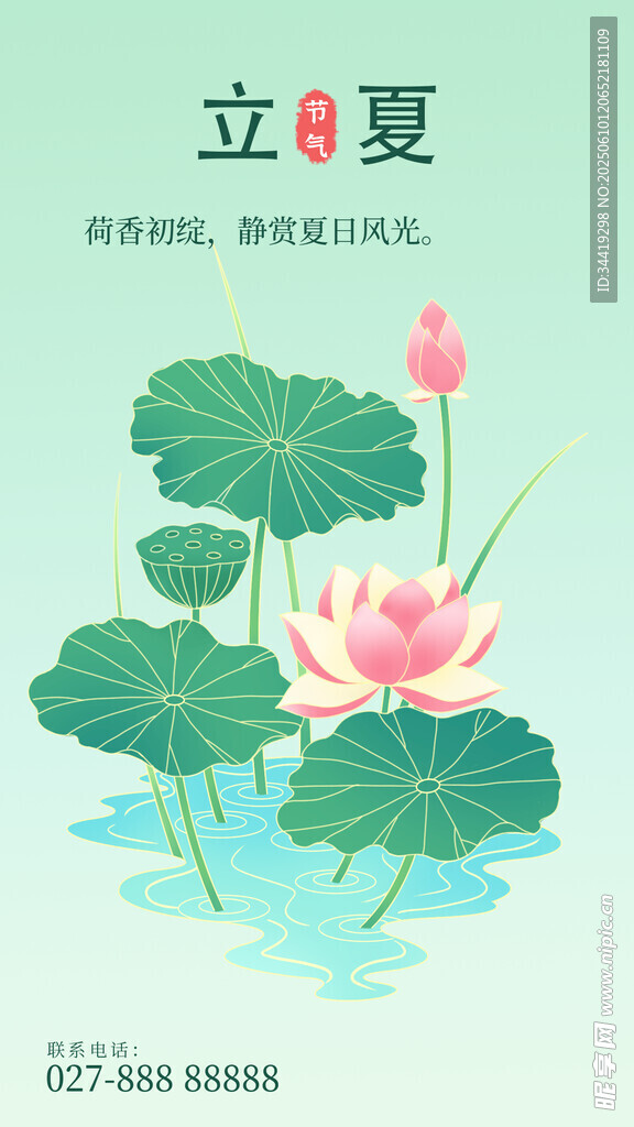 立夏时节的荷花与荷叶