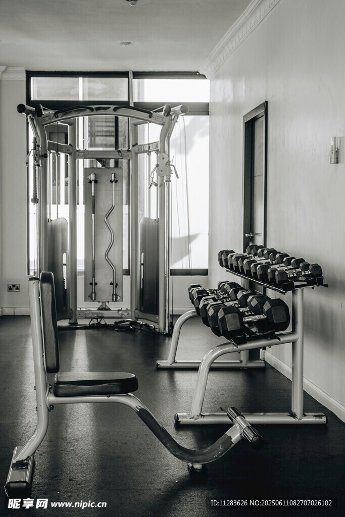 现代健身房器械展示