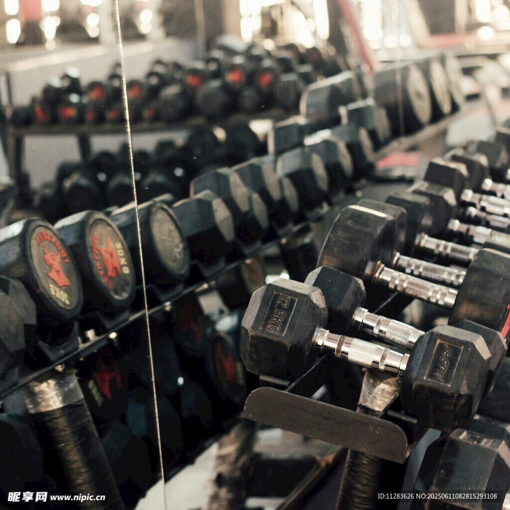 健身房哑铃整齐排列展示