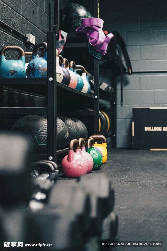 健身房多彩哑铃摆放场景