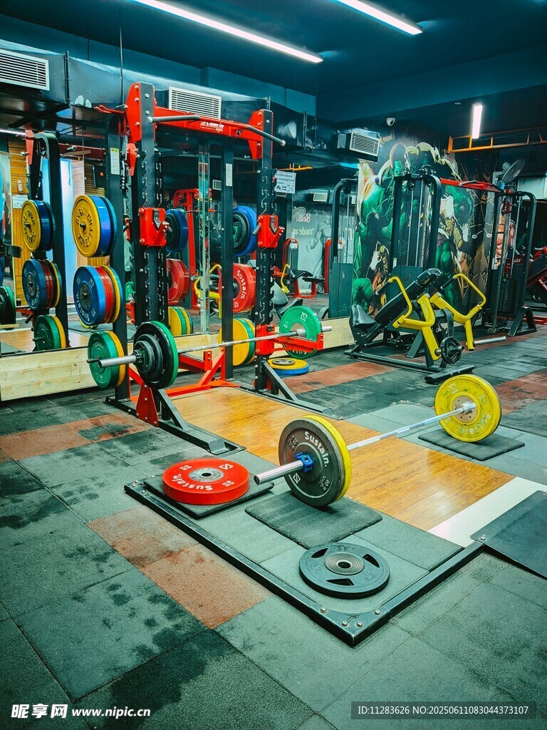 健身房内多样健身器材展示