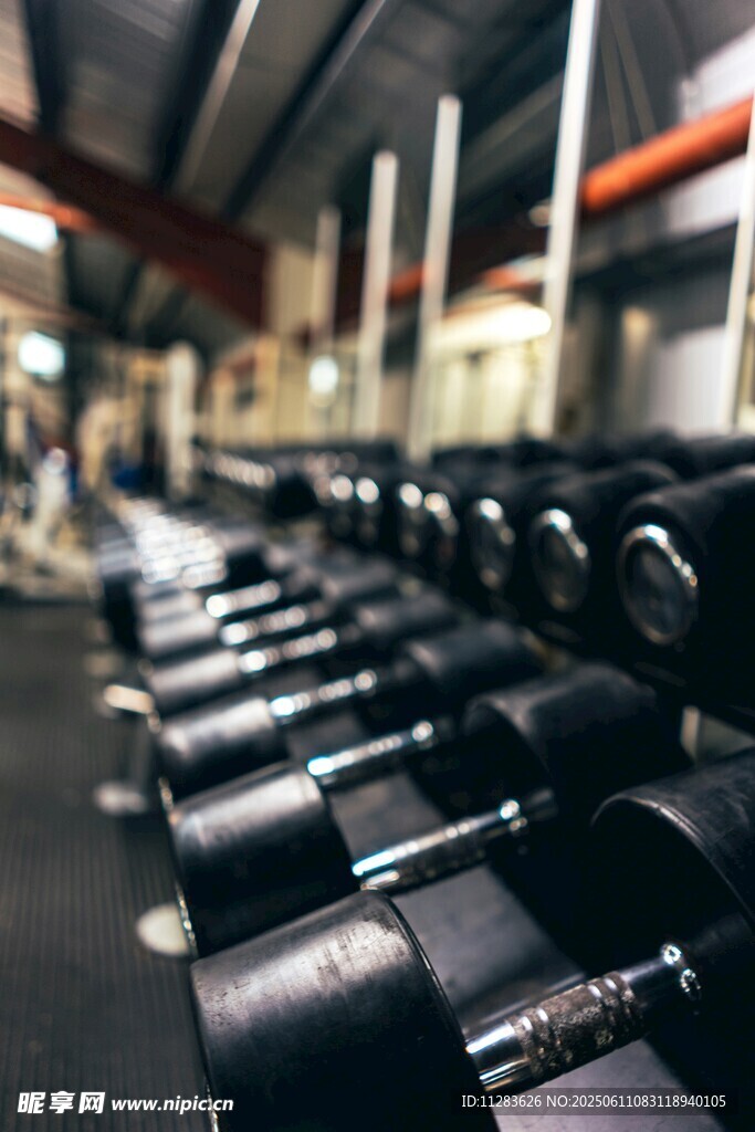 健身房内整齐排列的哑铃