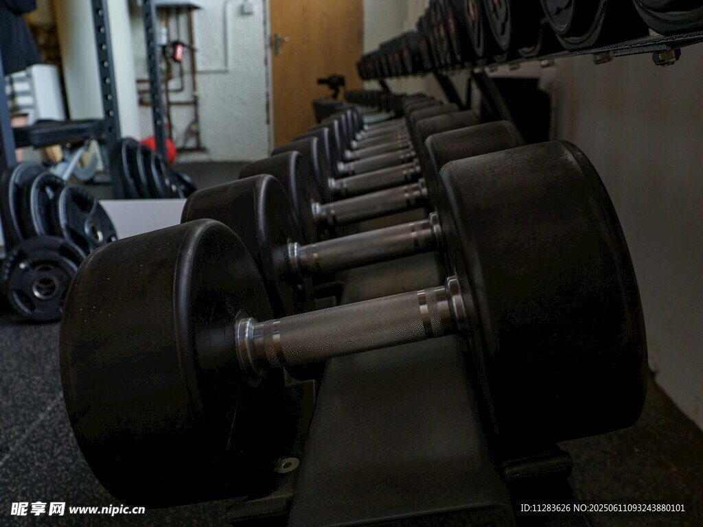 健身房中的哑铃器械展示