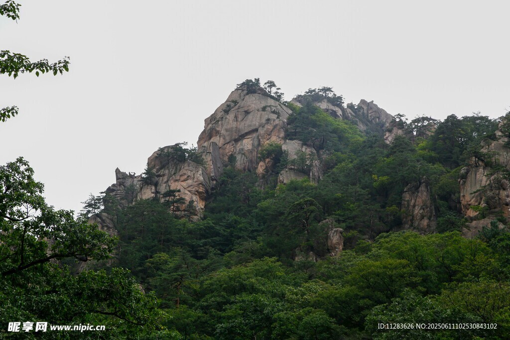 巍峨山峦被葱郁植被环绕
