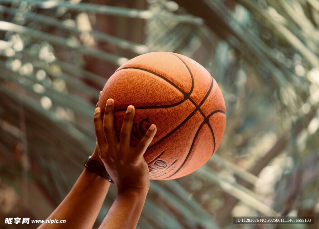 双手托举篮球瞬间