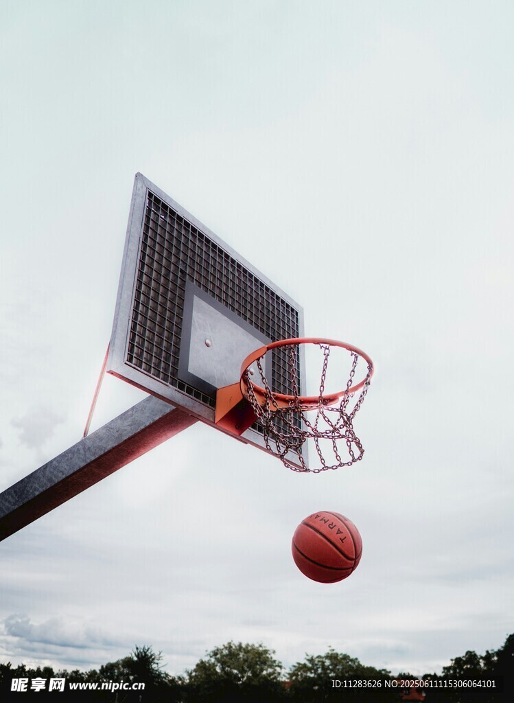 篮球入框瞬间