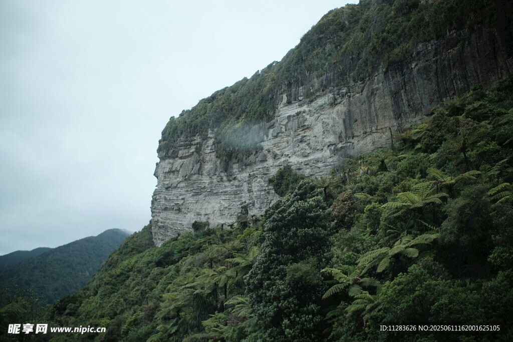 陡峭山壁与繁茂植被