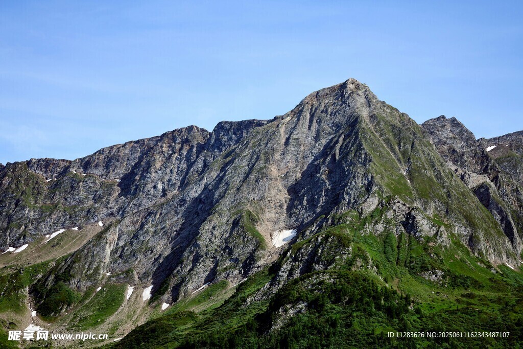巍峨青山绿意浓