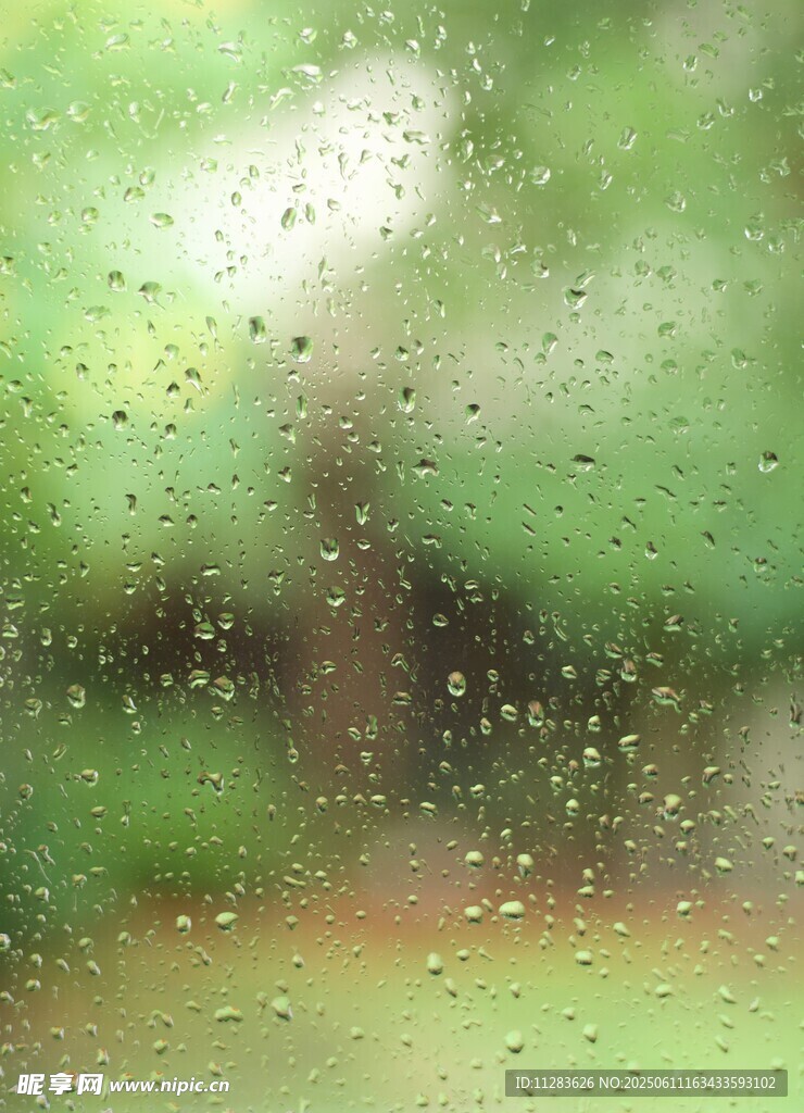 雨幕中的窗外绿意