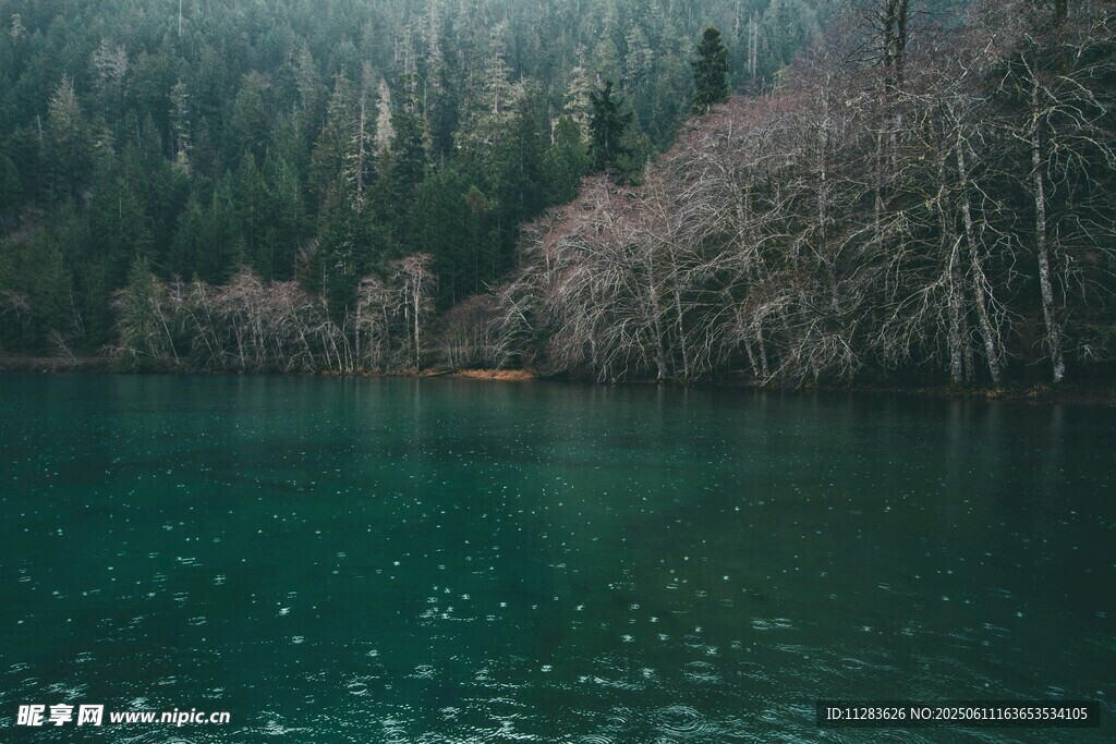 静谧山林中的碧绿湖水