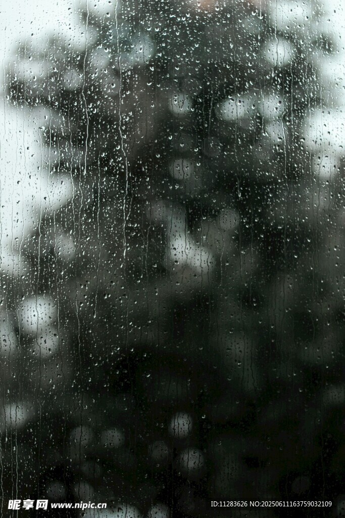 雨中模糊的树木景象