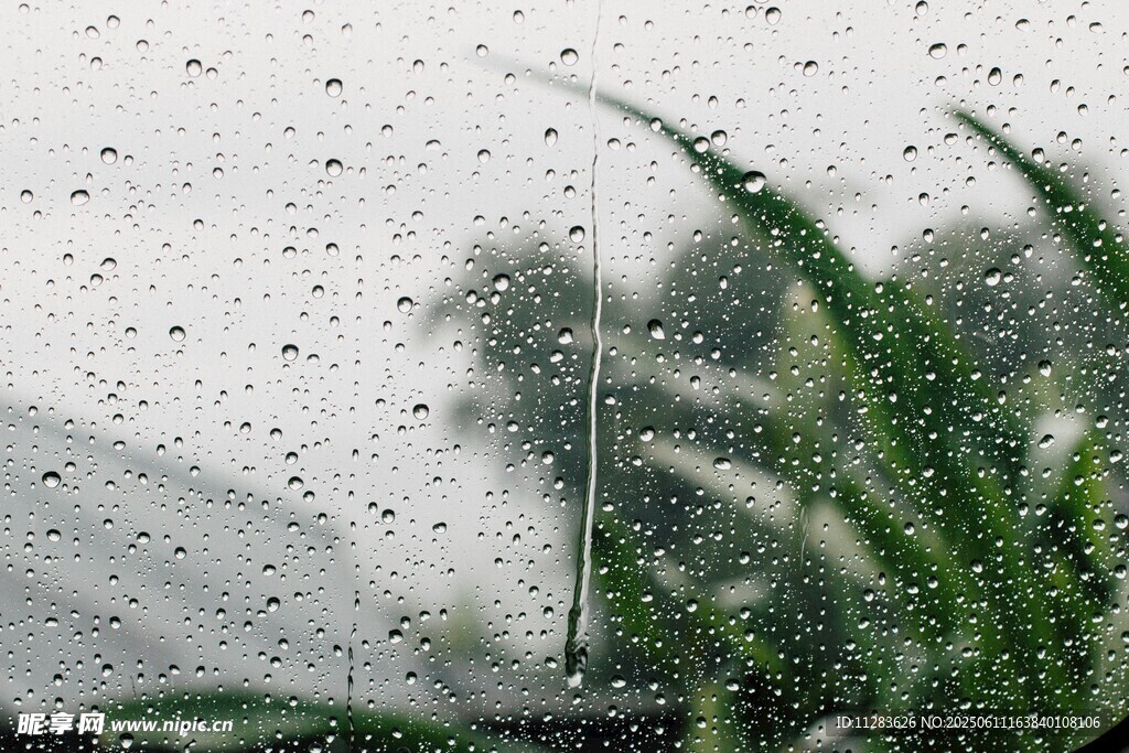 雨中玻璃绿植
