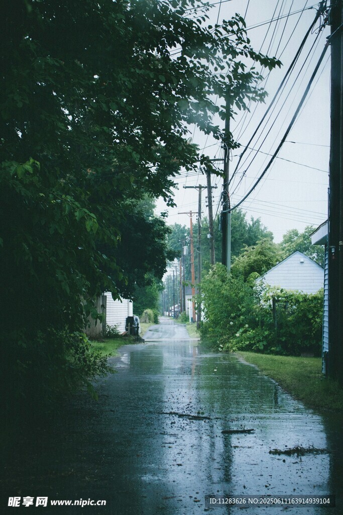 雨后积水的宁静乡村小路
