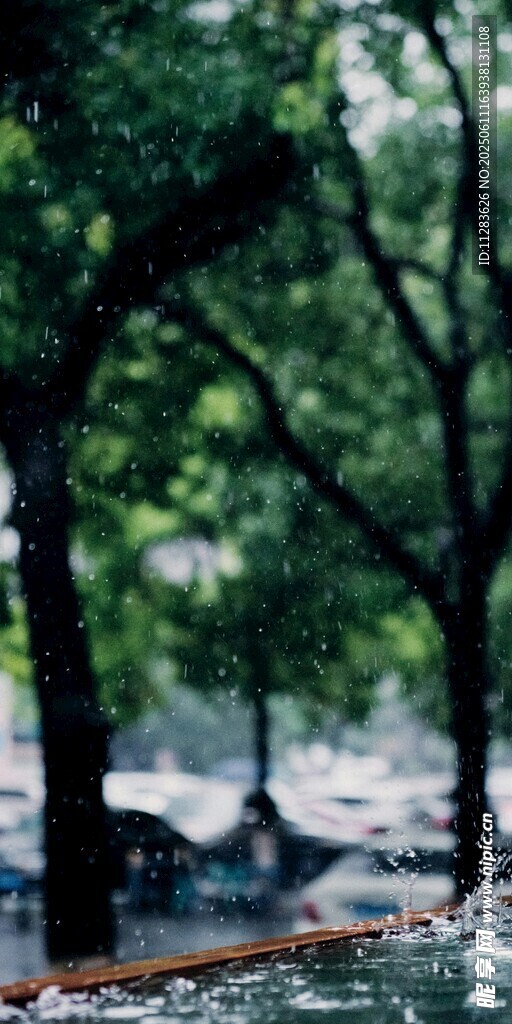雨