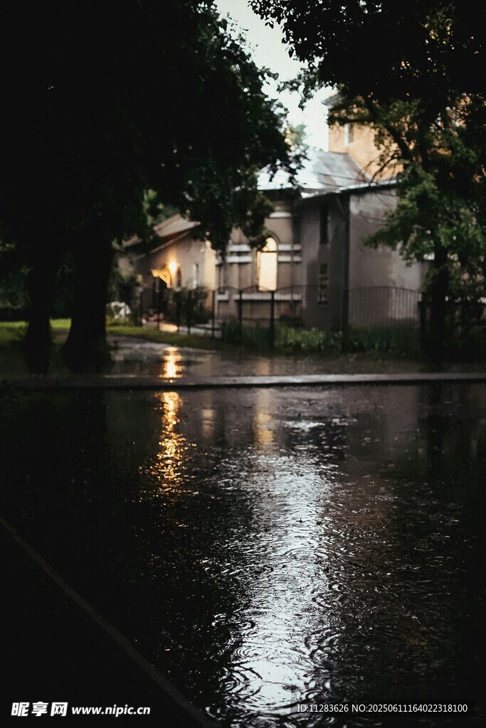 雨后街道的静谧倒影