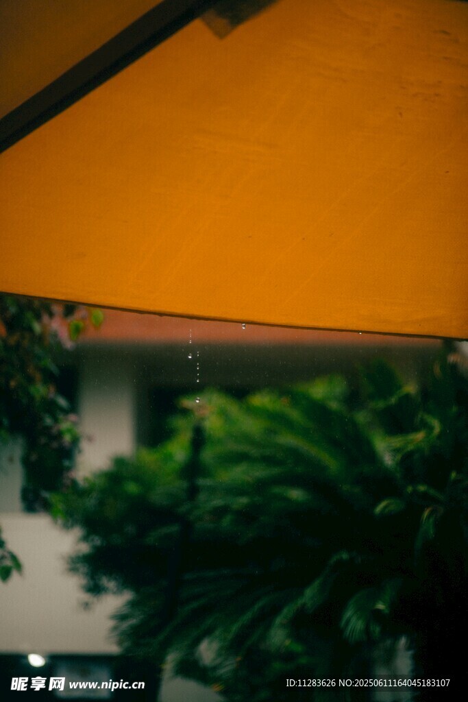 雨天黄伞