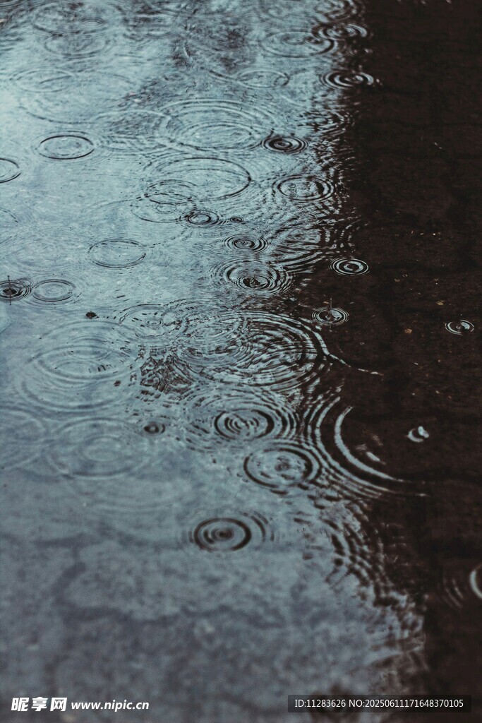 雨滴落积水形成的涟漪