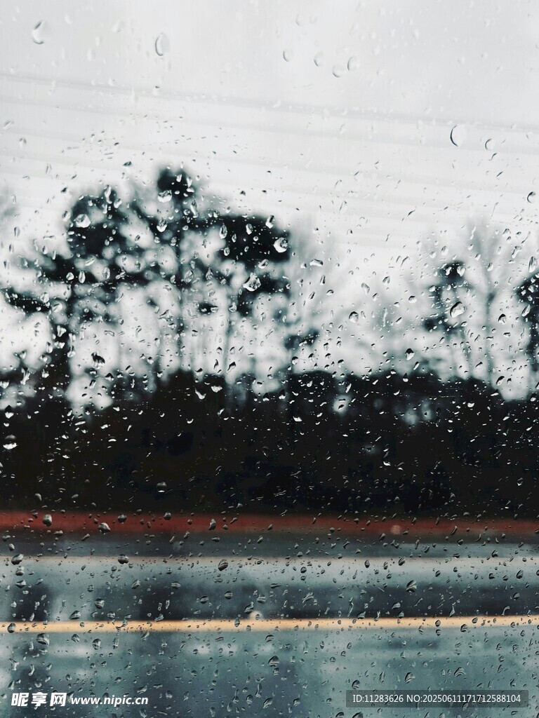 雨中朦胧的树木与水面