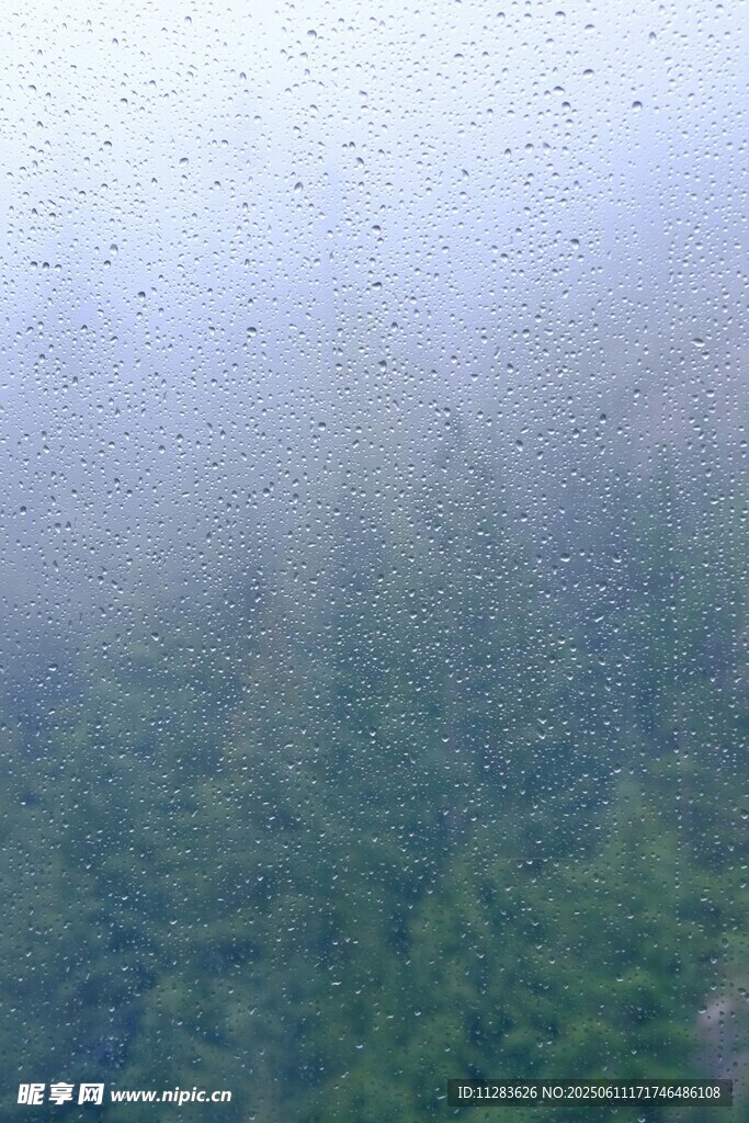 雾中森林景象