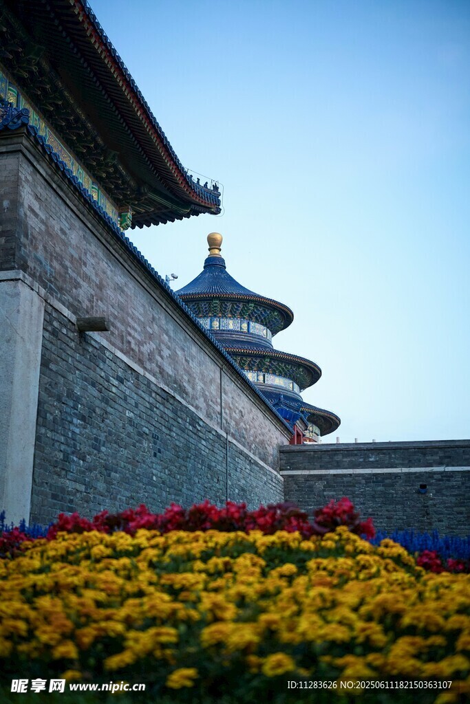 天坛前的缤纷花卉景观