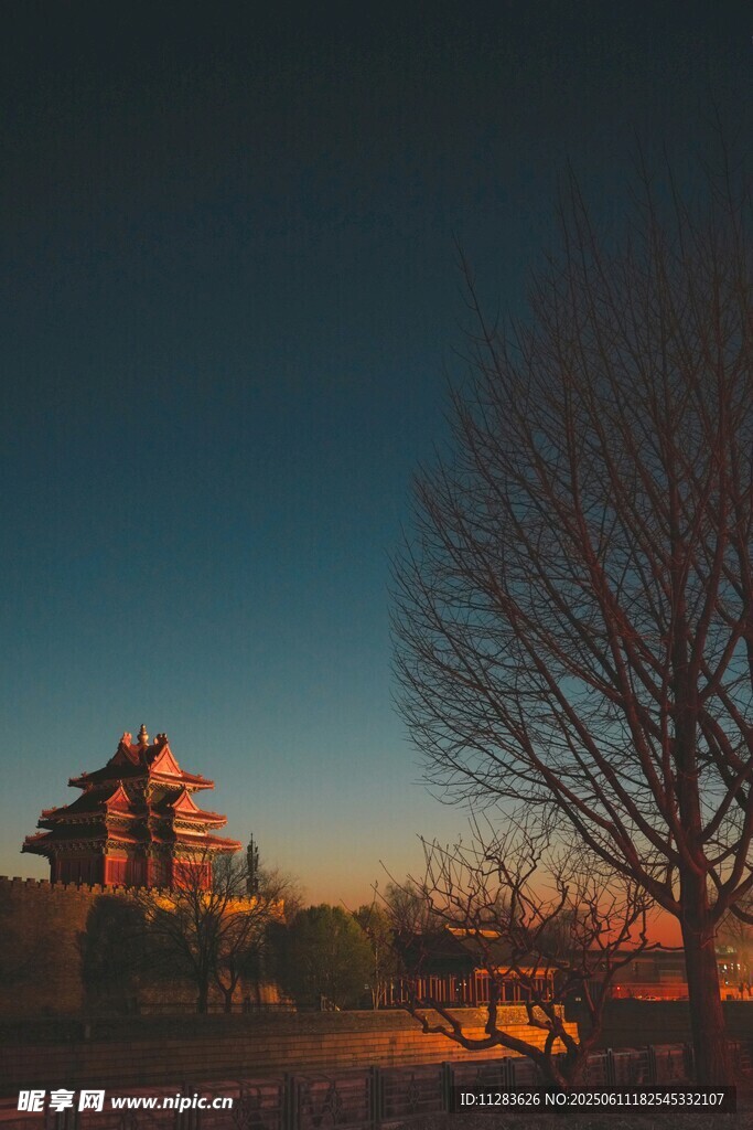 黄昏下的孤树与古建筑