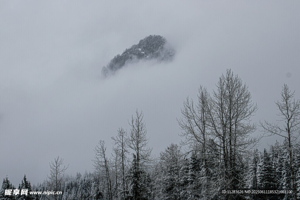云雾缭绕中的山林雪景