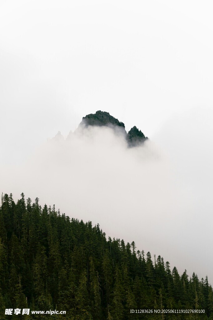 云雾缭绕中的山峦与森林