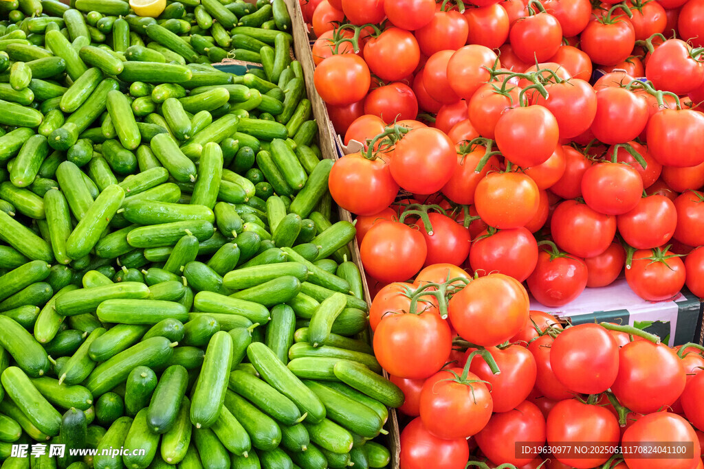 新鲜番茄与青椒陈列