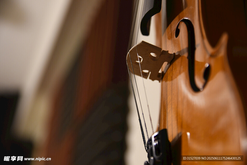 精致小提琴局部特写