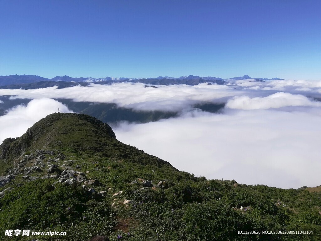 山巅云海美景