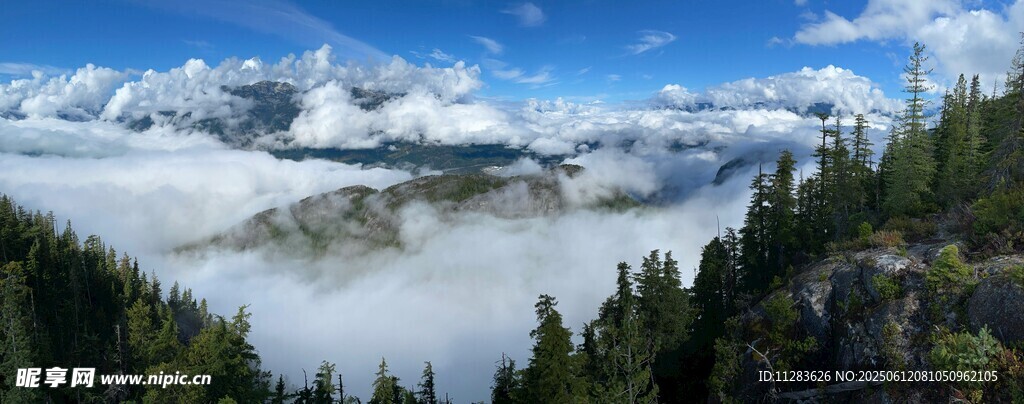 山间云海与葱郁林木美景