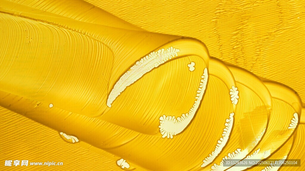 金黄透明的管状物体