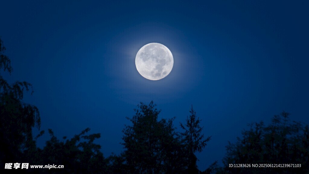 夜空下的皎洁明月