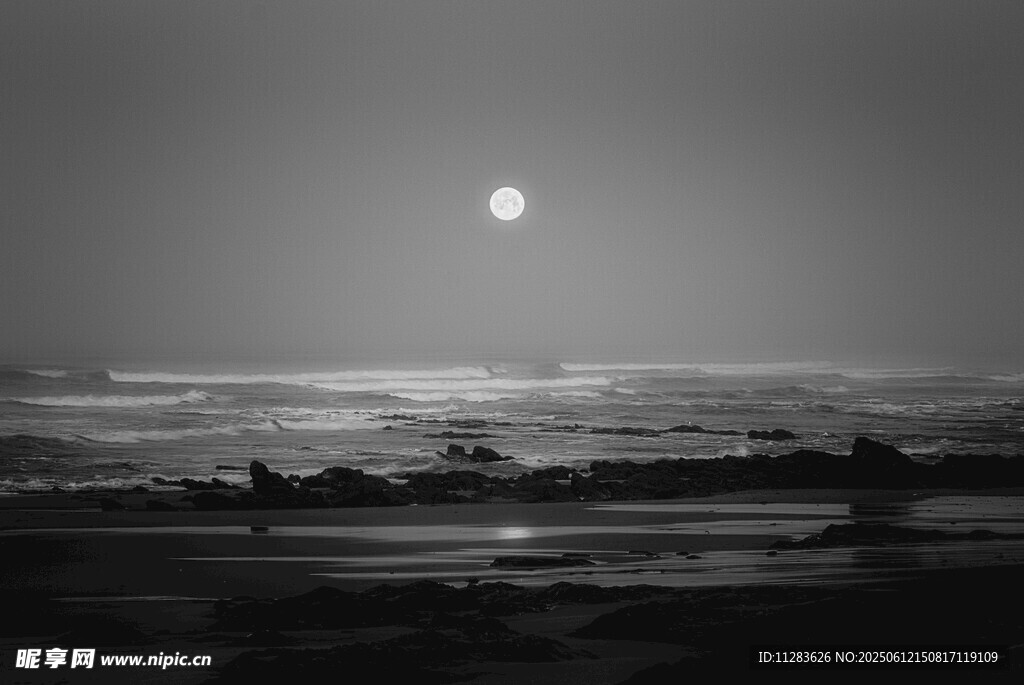 海边月夜美景