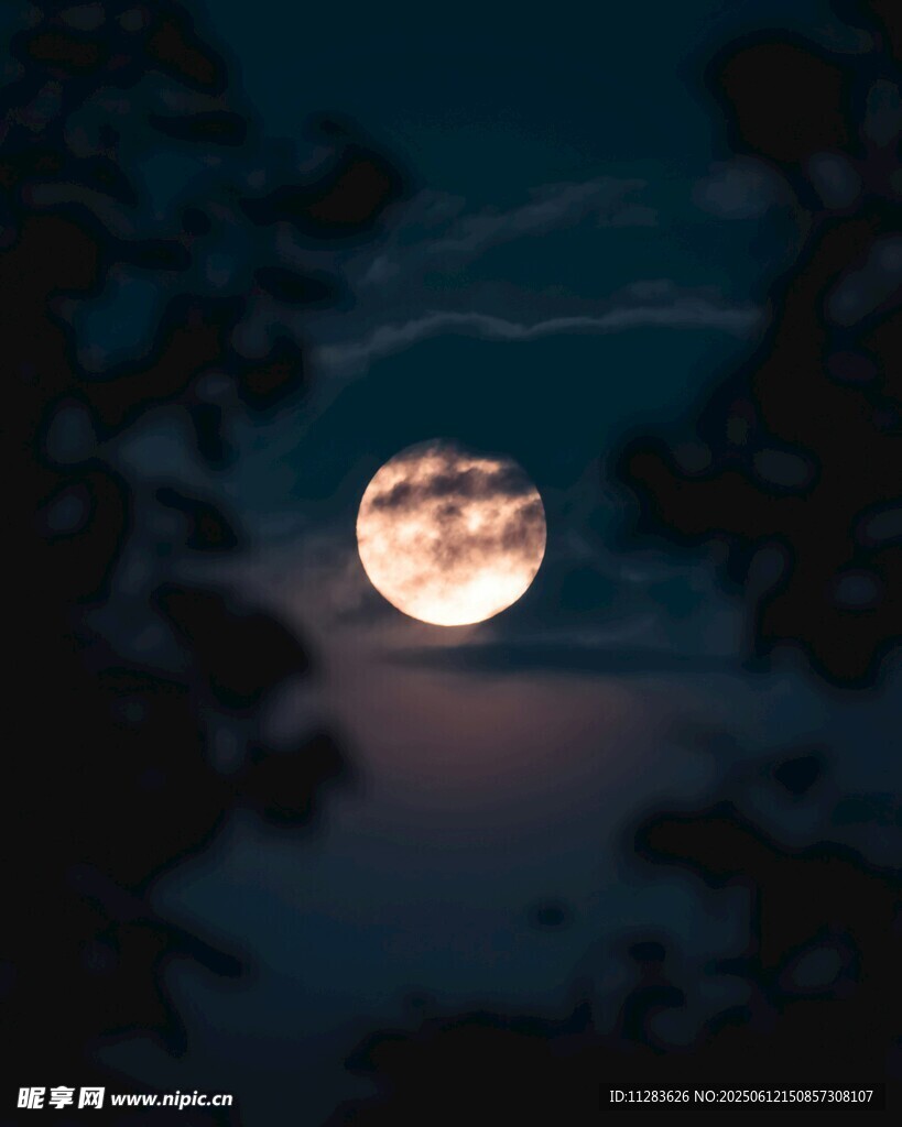 夜空中的皎洁明月