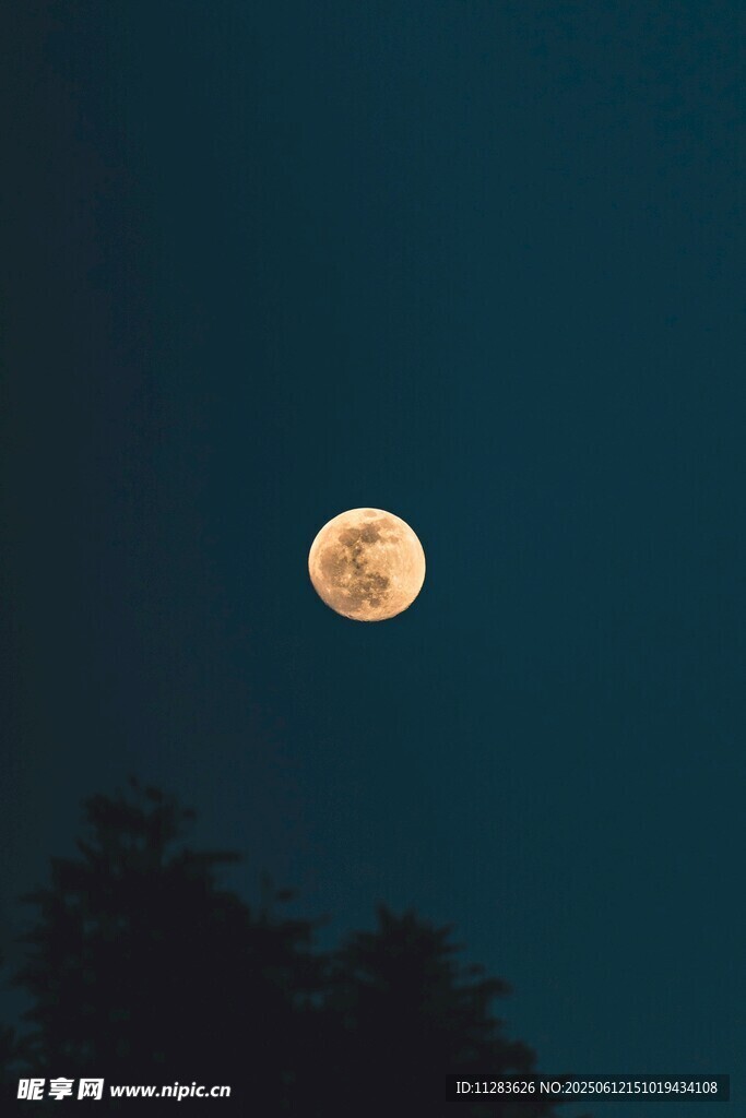 夜空下的满月