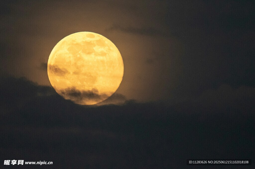 夜空中的金黄满月